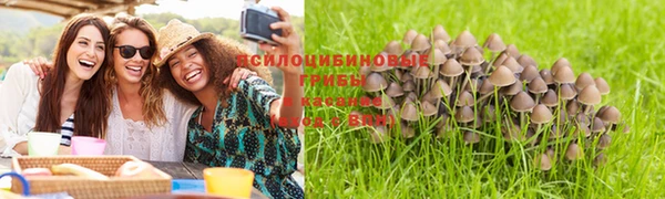 прущая мука Арсеньев