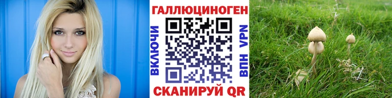 Галлюциногенные грибы Magic Shrooms  Сычёвка 